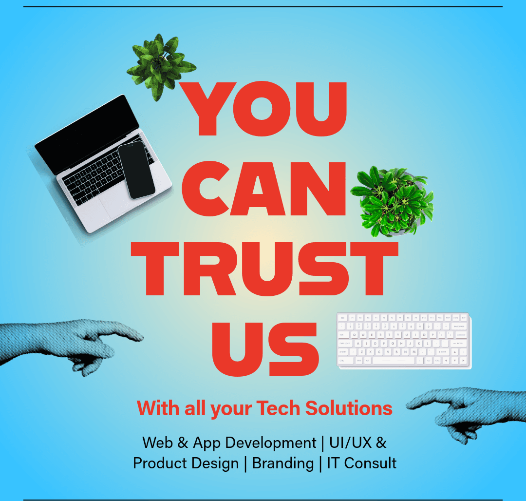 Expert Custom Web Development Services - Reinsoft IT Solutions