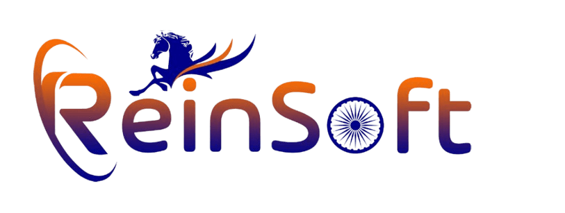 Reinsoft - Custom Software & IT Solutions Logo