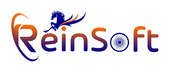 Reinsoft - Custom Software & IT Solutions Logo
